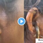 Viral Video