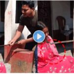 Snake Viral Video