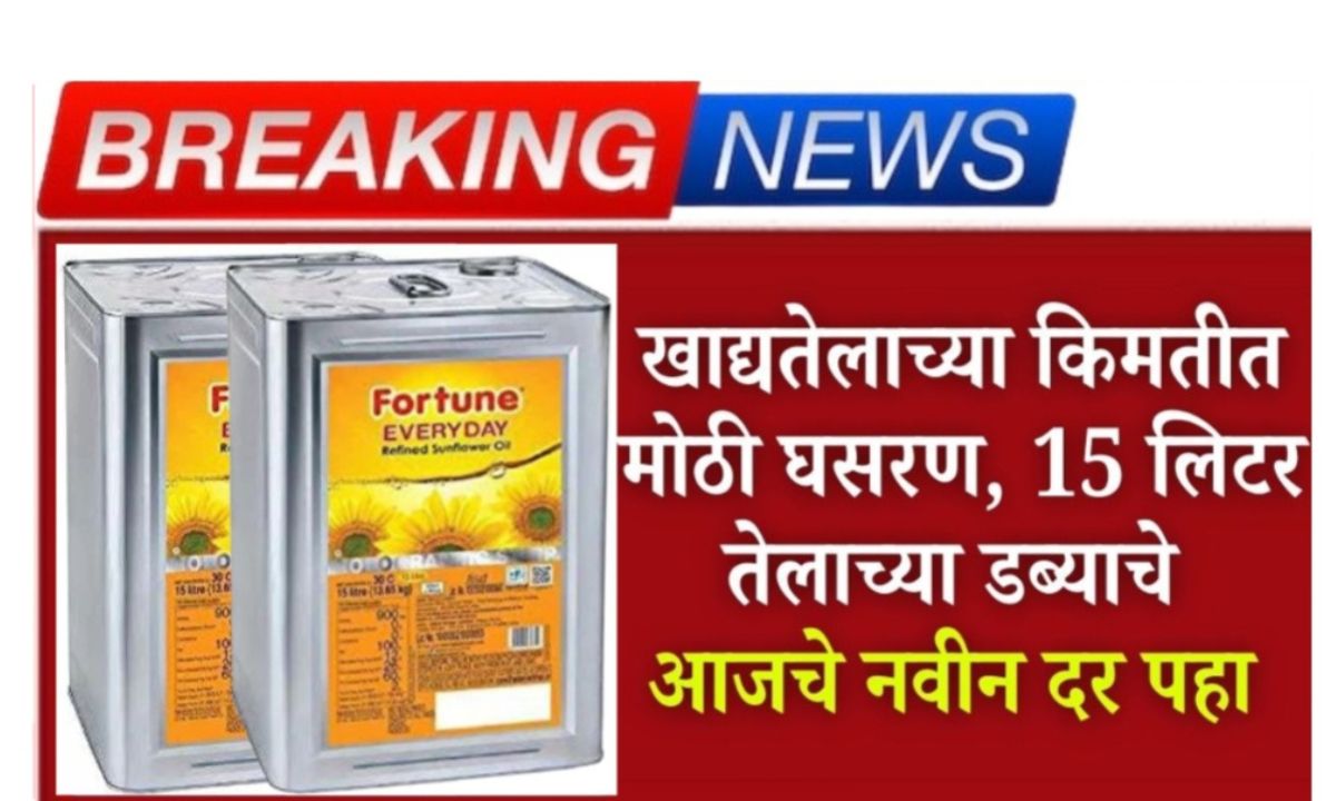 edible oil price