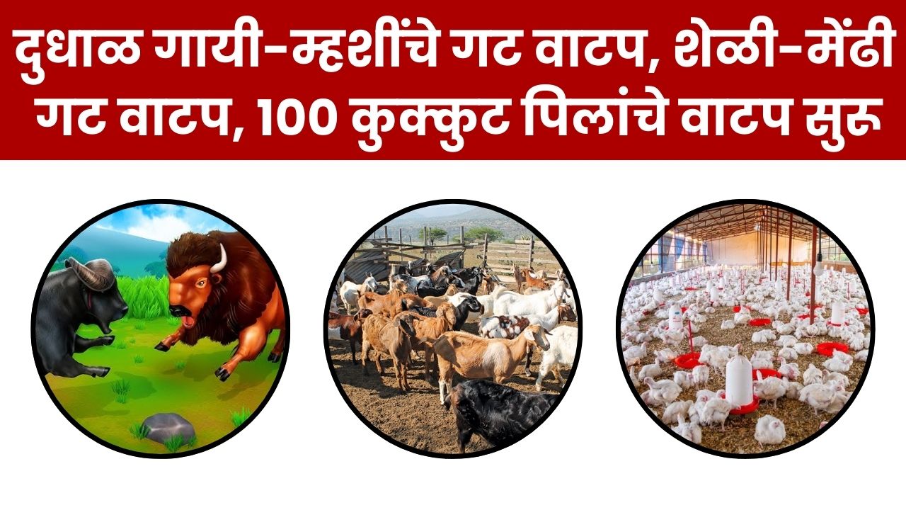 Agriculture Farming