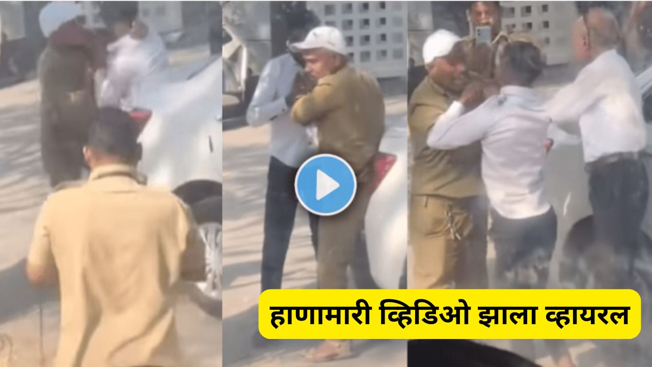 Passenger bus driver fight video