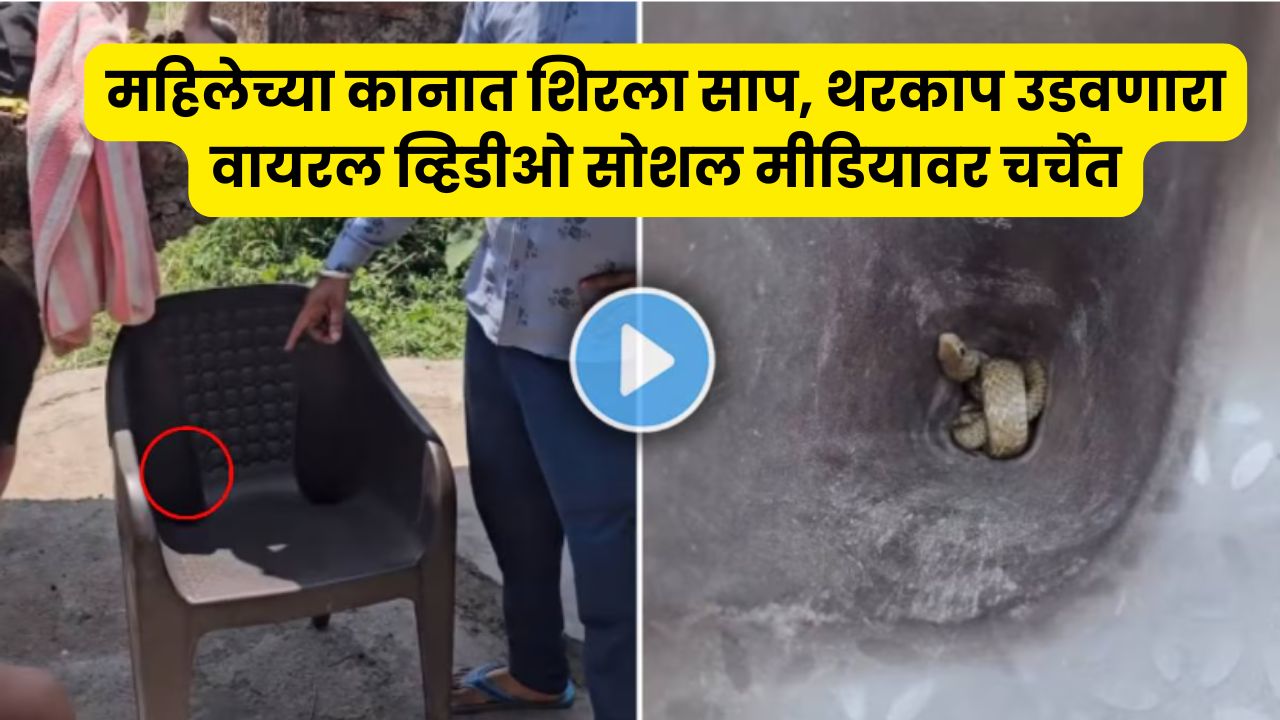 Snake Chair Viral Video