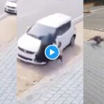 car hit viral video